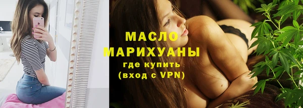 МДПВ Ельня