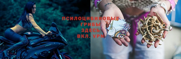 альфа пвп Дмитриев