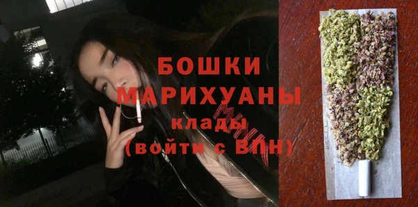 МДПВ Ельня