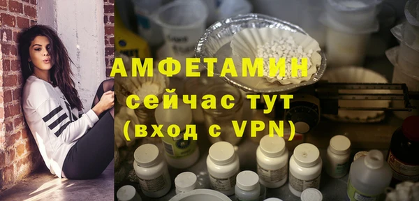 МДПВ Ельня